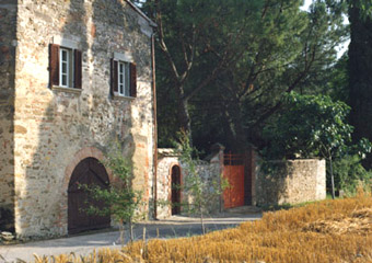 Tenuta di Vitiano  - Casa del Cerini
